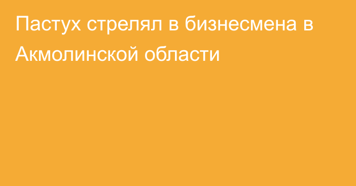 Пастух стрелял в бизнесмена в Акмолинской области