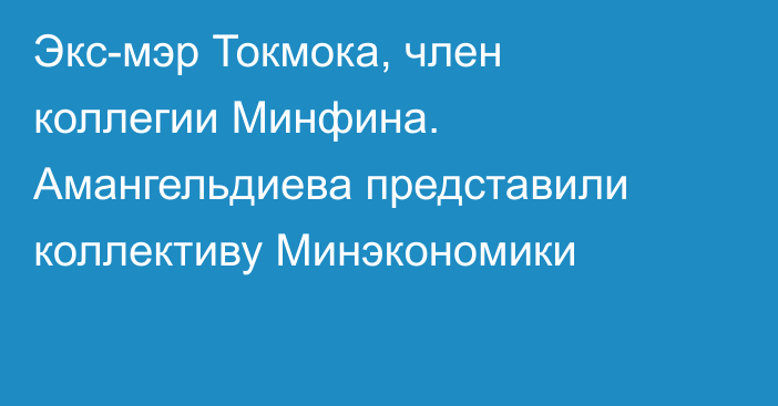 Экс-мэр Токмока, член коллегии Минфина. Амангельдиева представили коллективу  Минэкономики