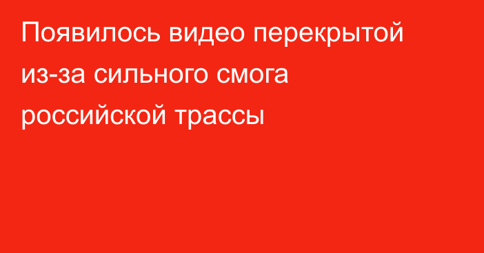 Появилось видео перекрытой из-за сильного смога российской трассы