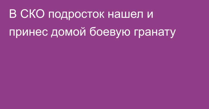 В СКО подросток нашел и принес домой боевую гранату