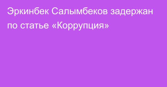 Эркинбек Салымбеков задержан по статье «Коррупция»