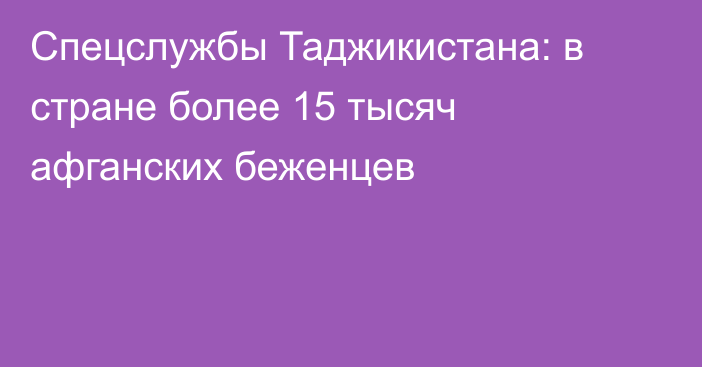 Спецслужбы Таджикистана: в стране более 15 тысяч афганских беженцев