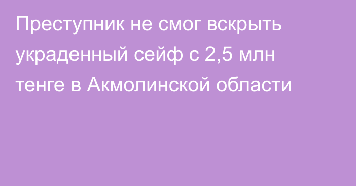 Преступник не смог вскрыть украденный сейф с 2,5 млн тенге в Акмолинской области