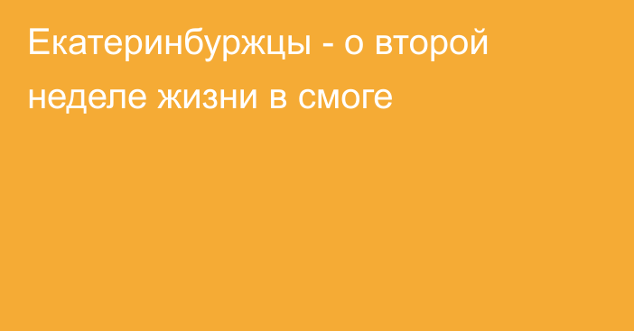 Екатеринбуржцы - о второй неделе жизни в смоге