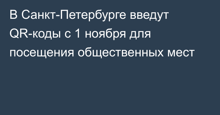 В Санкт-Петербурге введут QR-коды с 1 ноября для посещения общественных мест