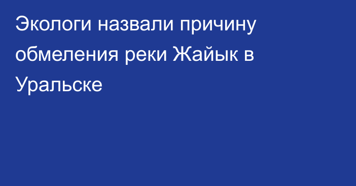 Экологи назвали причину обмеления реки Жайык в Уральске