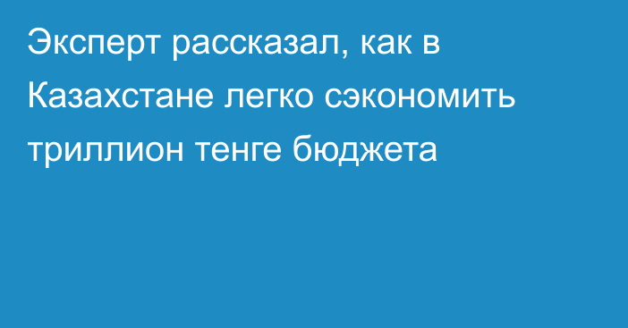 Эксперт рассказал, как в Казахстане легко сэкономить триллион тенге бюджета