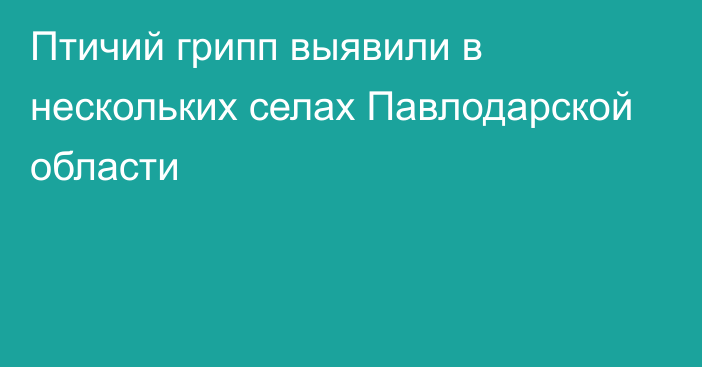 Птичий грипп выявили в нескольких селах Павлодарской области