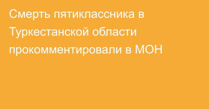 Смерть пятиклассника в Туркестанской области прокомментировали в МОН