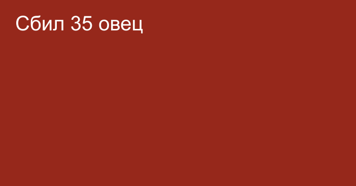 Сбил 35 овец