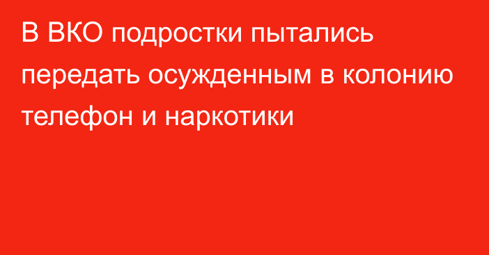 В ВКО подростки пытались передать осужденным в колонию телефон и наркотики