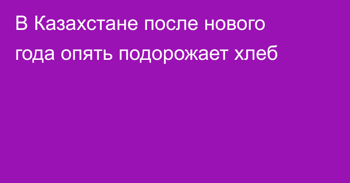 В Казахстане после нового года опять подорожает хлеб