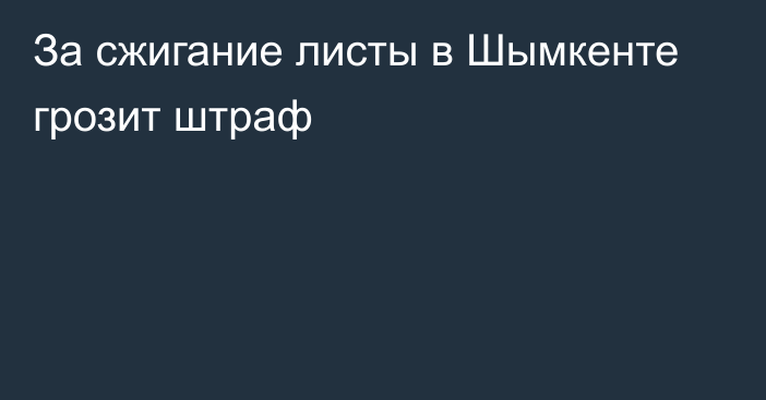 За сжигание листы в Шымкенте грозит штраф