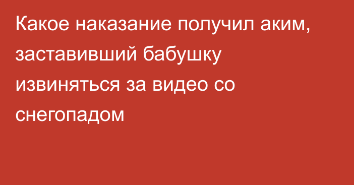 Какое наказание получил аким, заставивший бабушку извиняться за видео со снегопадом