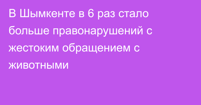 В Шымкенте в 6 раз стало больше  правонарушений с жестоким обращением с животными