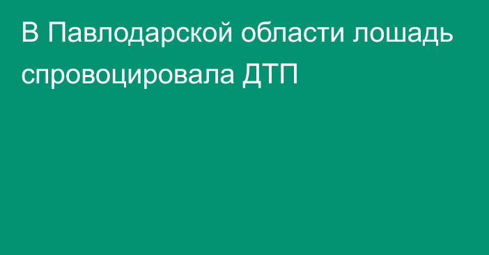 В Павлодарской области лошадь спровоцировала ДТП