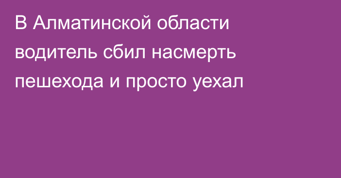 В Алматинской области водитель сбил насмерть пешехода и просто уехал