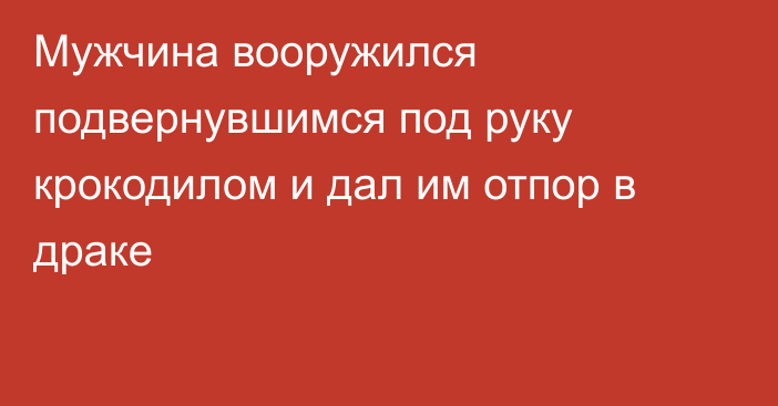 Мужчина вооружился подвернувшимся под руку крокодилом и дал им отпор в драке