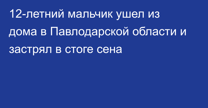 12-летний мальчик ушел из дома в Павлодарской области и застрял в стоге сена