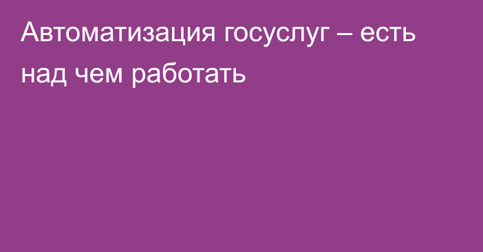 Автоматизация госуслуг – есть над чем работать