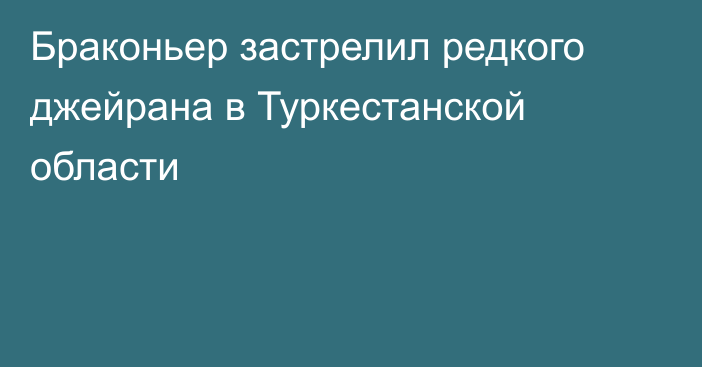 Браконьер застрелил редкого джейрана в Туркестанской области