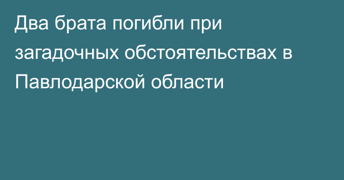 Два брата погибли при загадочных обстоятельствах в Павлодарской области