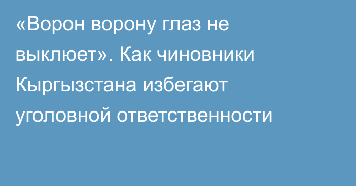 «Ворон ворону глаз не выклюет». Как чиновники Кыргызстана избегают уголовной ответственности