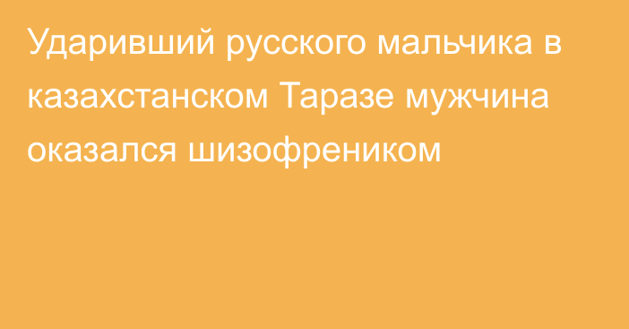 Ударивший русского мальчика в казахстанском Таразе мужчина оказался шизофреником