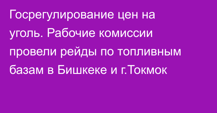 Госрегулирование цен на уголь. Рабочие комиссии провели рейды по топливным базам в Бишкеке и г.Токмок