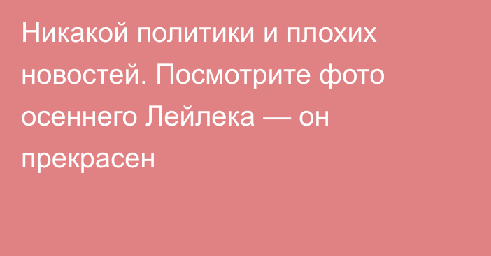 Никакой политики и плохих новостей. Посмотрите фото осеннего Лейлека — он прекрасен