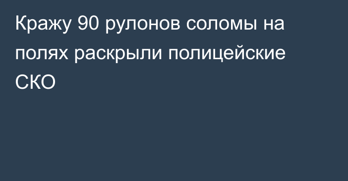 Кражу 90 рулонов соломы на полях раскрыли полицейские СКО