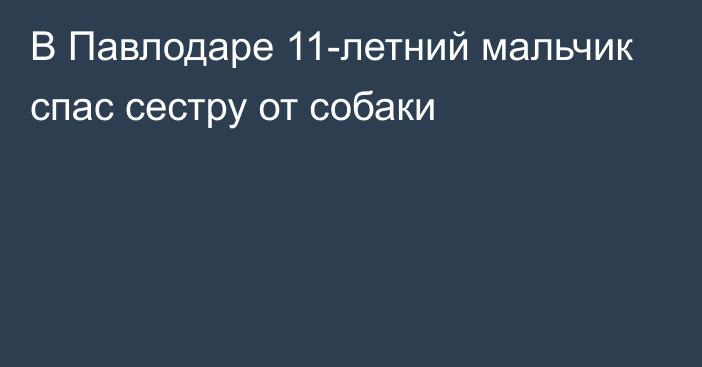 В Павлодаре 11-летний мальчик спас сестру от собаки