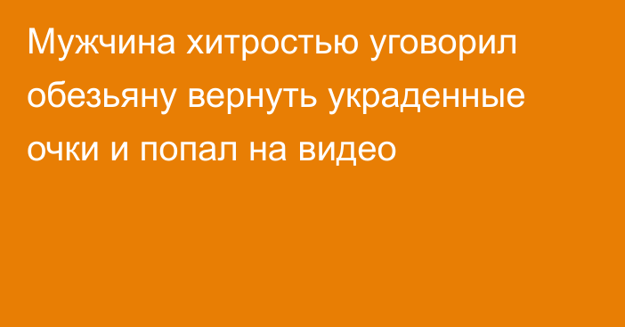 Мужчина хитростью уговорил обезьяну вернуть украденные очки и попал на видео