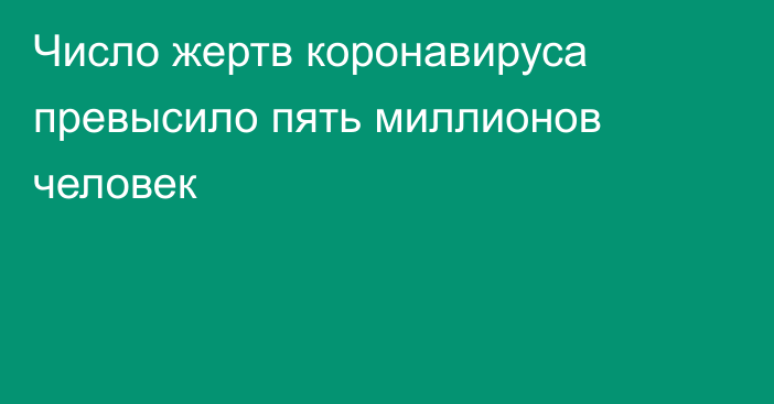 Число жертв коронавируса превысило пять миллионов человек