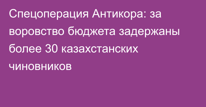 Спецоперация Антикора: за воровство бюджета задержаны более 30 казахстанских чиновников