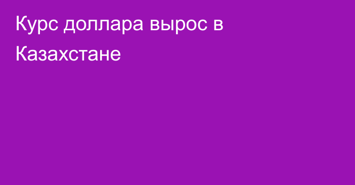 Курс доллара вырос в Казахстане