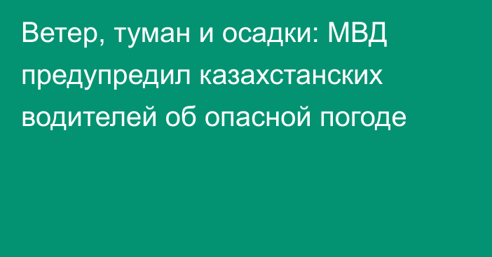 Ветер, туман и осадки: МВД предупредил казахстанских водителей об опасной погоде