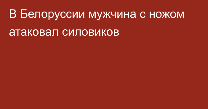 В Белоруссии мужчина с ножом атаковал силовиков