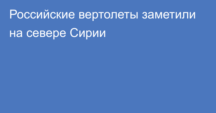 Российские вертолеты заметили на севере Сирии