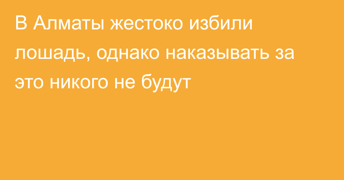 В Алматы жестоко избили лошадь, однако наказывать за это никого не будут