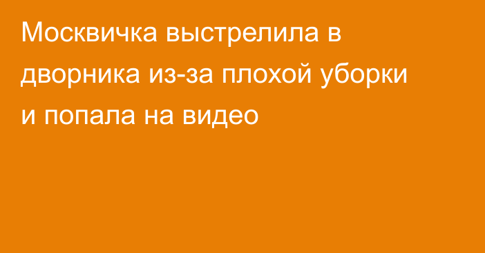 Москвичка выстрелила в дворника из-за плохой уборки и попала на видео