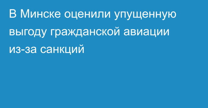 В Минске оценили упущенную выгоду гражданской авиации из-за санкций