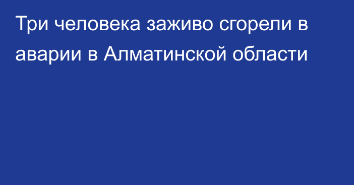 Три человека заживо сгорели в аварии в Алматинской области