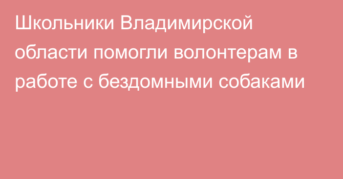 Школьники Владимирской области помогли волонтерам в работе с бездомными собаками