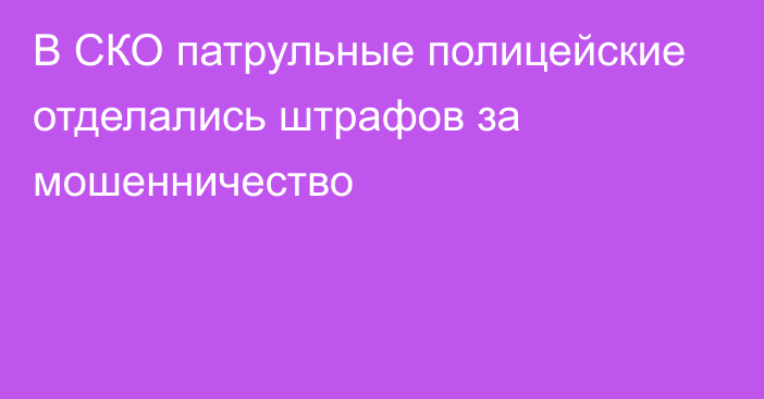 В СКО патрульные полицейские отделались штрафов за мошенничество