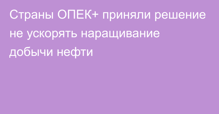 Страны ОПЕК+ приняли решение не ускорять наращивание добычи нефти