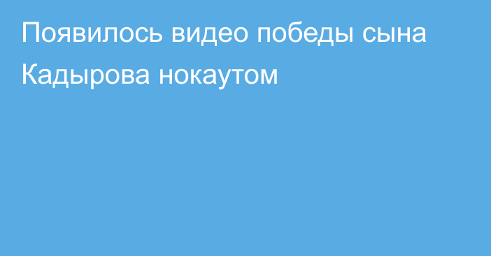 Появилось видео победы сына Кадырова нокаутом