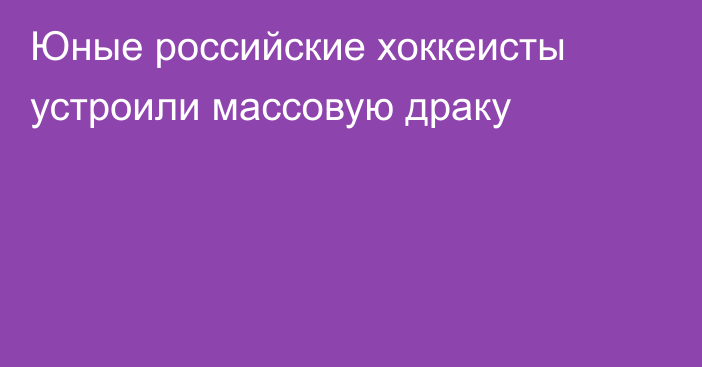 Юные российские хоккеисты устроили массовую драку