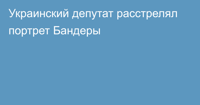 Украинский депутат расстрелял портрет Бандеры