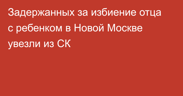 Задержанных за избиение отца с ребенком в Новой Москве увезли из СК